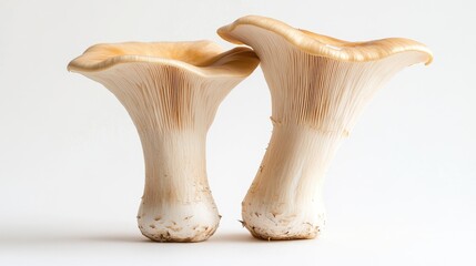 Fototapeta premium A pair of king oyster mushrooms side by side on a bright white background, with a focus on their tall stems and broad, smooth caps, creating a simple yet elegant composition.