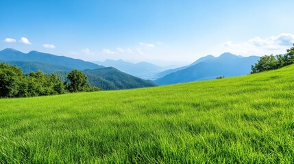 Fototapeta premium Lush green meadow, mountain range panorama