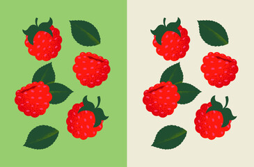 Vibrant hand-drawn vector illustration of fresh, juicy raspberries