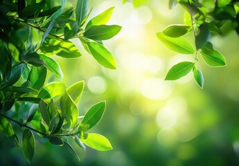 Obraz premium Lush Green Leaves Against a Soft Natural Background, Highlighting the Beauty of Nature and the Serenity of a Sunlit Forest Landscape