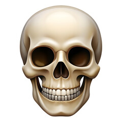 Obraz premium Human Skull PNG – Transparent Cutout Isolated Bone Anatomy