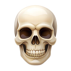 Obraz premium Human Skull PNG – Transparent Cutout Isolated Bone Anatomy