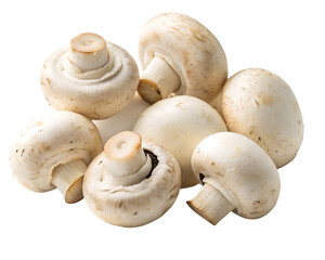several fresh champignon mushrooms stacked together transparent background