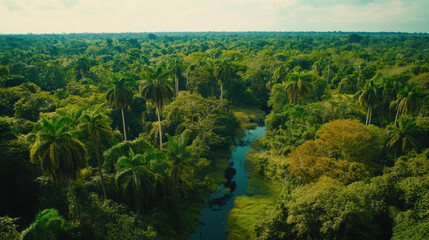 Lush green jungle landscape with river tropical region aerial view vibrant nature scenic beauty