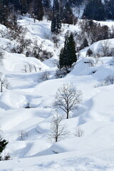 冬の蒲生の棚田（新潟県）