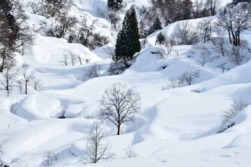 冬の蒲生の棚田（新潟県）