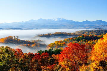 Autumn mountain vista, fog-shrouded valley, colorful foliage, scenic landscape, travel postcard