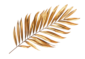 Dried palm leaf isolated on a white background, top view. Palm tree branch with golden leaves, png