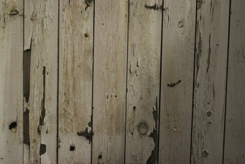 Weathered fence