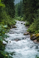Fototapeta premium A flowing river winding through a verdant green forest landscape