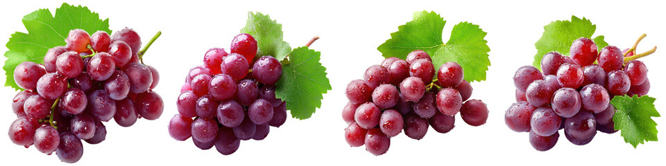 Fototapeta premium Four bunches of plump red grapes, each with fresh green leaves, glistening with water droplets