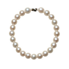 Obraz premium pearl necklace isolated on white