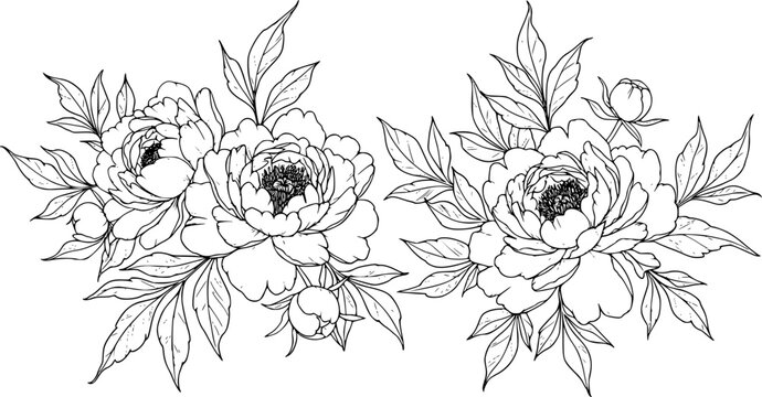 Big set of peony flowers and leaves for making tattoo compositions. Black linear illustration isolated on a white background.
