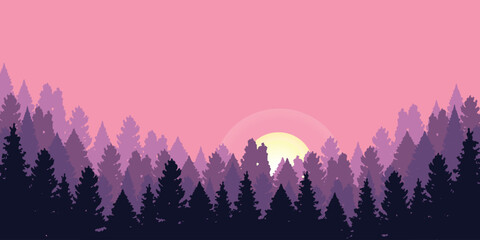 view of pine forest in the afternoon