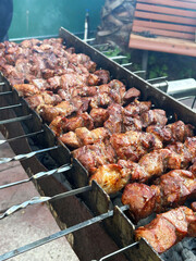 Juicy Skewers of Grilled Meat Cooking on an Outdoor Barbecue in a Backyard Setting on a Sunny Afternoon