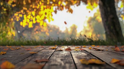 Scenic Boardwalk in a Forested Park Surrounded by Fall Foliage