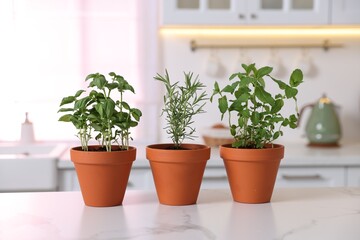Different aromatic herbs in pots on white marble countertop in kitchen
