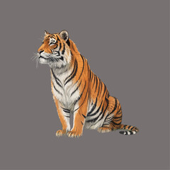 Obraz premium Roaring Tiger: Striking Vector Illustration