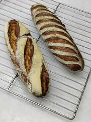 Two golden-brown rustic bread loaves are cooling on a wire rack in a busy bakery. The texture and crust appear inviting and fresh