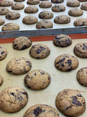 Rows of chocolate chip cookies cool on a baking sheet, ready for customers at a local bakery during busy morning hours