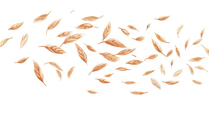 Obraz premium The image shows numerous oat grains falling or floating against a pure white background. The grains are light golden brown and vary slightly in size and orientation. They are scattered across the