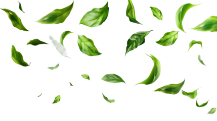 Green Leaves in Flight: A mesmerizing display of fresh, vibrant green leaves caught mid-air, offering a sense of weightlessness and the purity of nature.