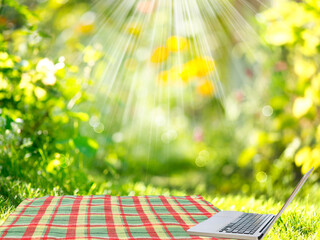 Spring Picnic Office Background