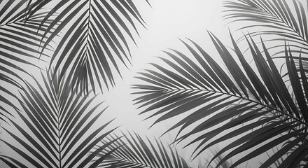 Obraz premium Tropical Palm Leaf Pattern