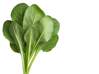 Fresh Spinach Leaves on White Background: Vibrant Green Vegetables for Healthy Eating and Cooking Concepts