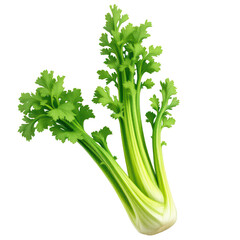 Crisp celery sticks, vibrant green, perfect for healthy snacking.