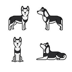 siberian-husky-dog