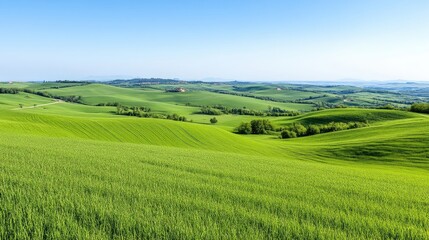 Obraz premium Lush rolling hills, vibrant green fields, breathtaking landscape