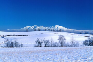雪原の丘と旭岳（美瑛町）