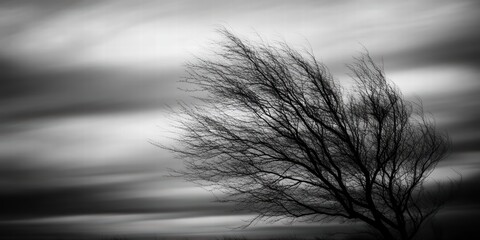 Obraz premium Windswept Tree Silhouette Against Dramatic Cloudy Sky in Monochrome