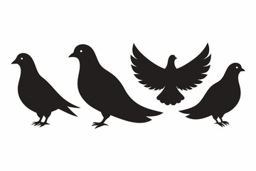 Dove silhouette vector illustration