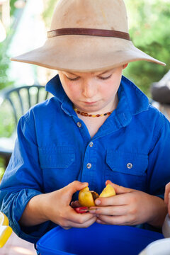 Child halving apricot with knife to remove stone