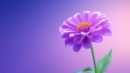 Fototapeta premium Vibrant Purple Flower with Soft Background in Pastel Shades