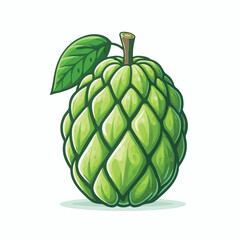 cherimoya, green, fruit, fresh, food, ripe, exotic, sweet, tropical, organic, custard, background, healthy, raw, annona, white, custard apple, delicious, tasty, isolated, dessert, seed, half, chirimoy
