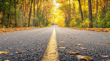 scenic autumn road with vibrant foliage