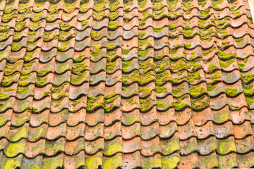 Europe, Netherlands, Flevoland. Dutch terra cotta tiled roof with moss.