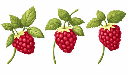 Fresh Red Raspberries with Green Leaves Isolated on White Background