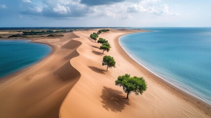 Sand dunes meet tranquil beach