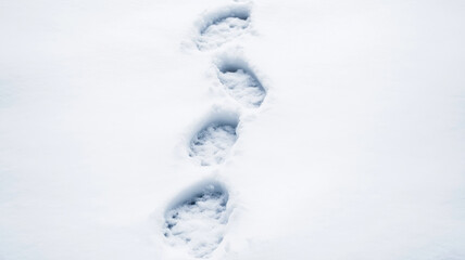 Obraz premium Fresh footprints lead through pristine layer of snow, creating serene and tranquil scene. contrast of footprints against white snow evokes sense of exploration and adventure