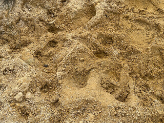 close up sand texture, background