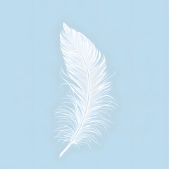 bird feather