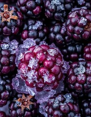Frozen blackberries, ice crystals, intricate detail, vibrant purple hues, frozen, photography