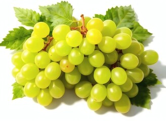 Fototapeta premium Fresh Grapes on Leaf