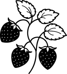 vector illustration of a strawberry