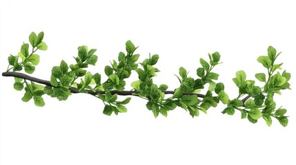 A vibrant green branch with lush leaves against a white background, ideal for nature-themed design projects