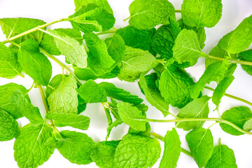 Scattered fresh mint leaves on white background. For use in cooking, healthy eating and cosmetic...